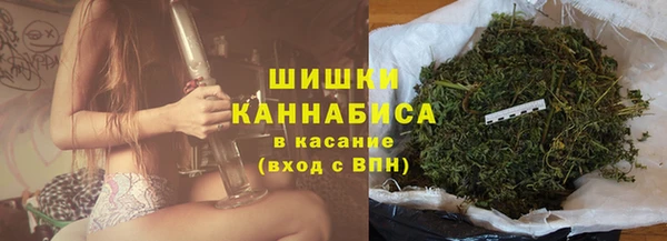 гидра Богданович