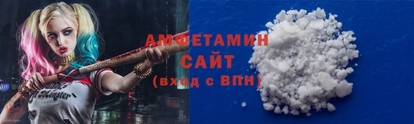 гидра Богданович