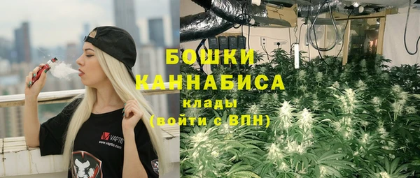 гидра Богданович