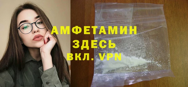 гидра Богородск