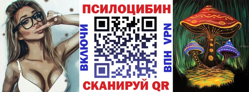 купить наркоту  Сланцы  Псилоцибиновые грибы Psilocybe 